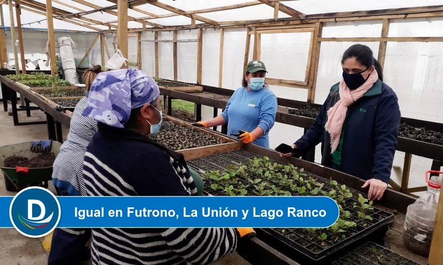 CONAF Los Ríos promueve la producción de plantas en Río Bueno