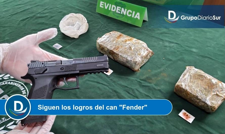Operativo en Terminal de Buses Valdivia: Decomisaron más de 1 kilo de drogas