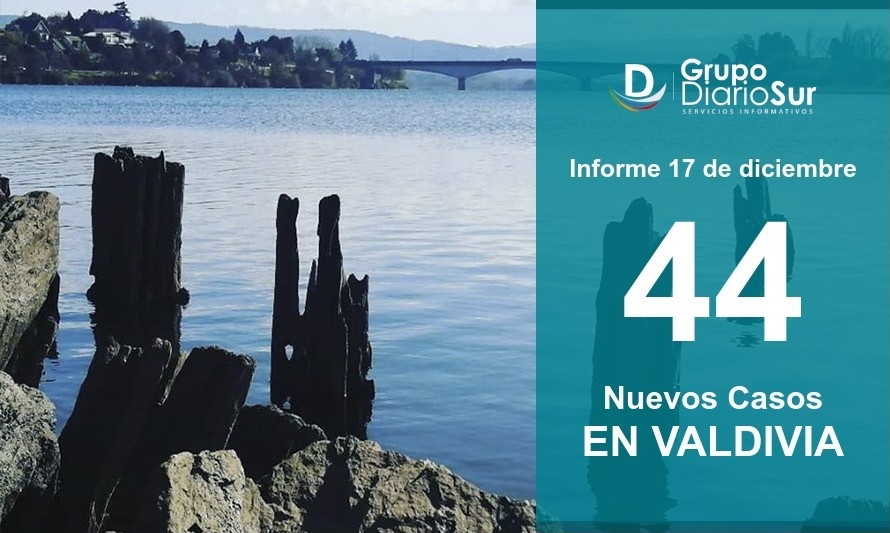 Jueves 17 de diciembre: Valdivia informa sobre 44 nuevos infectados