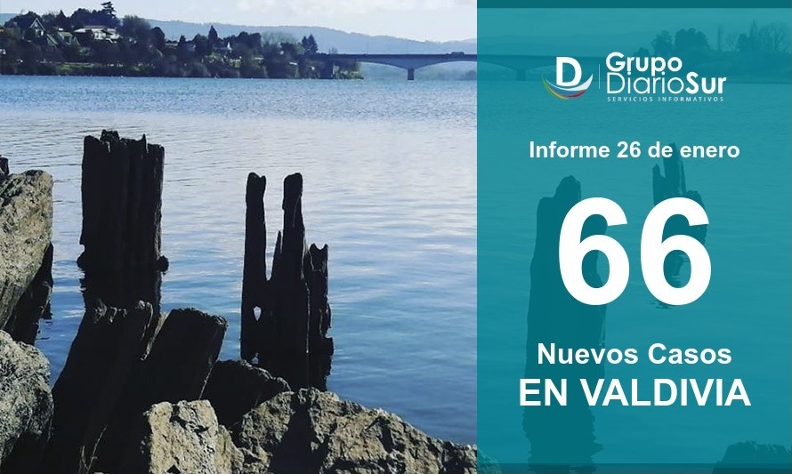 Valdivia registra su menor número de contagios desde el 6 de enero