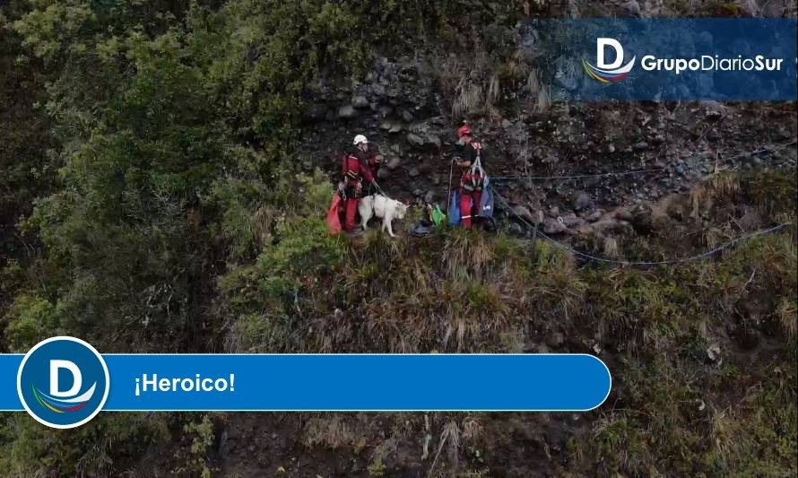 Bomberos completan exitoso rescate de perrito atrapado en risco