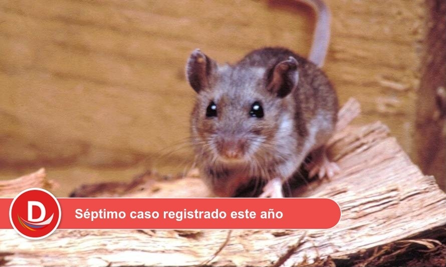 Seremi de Salud confirmó nuevo caso de Hantavirus en la región