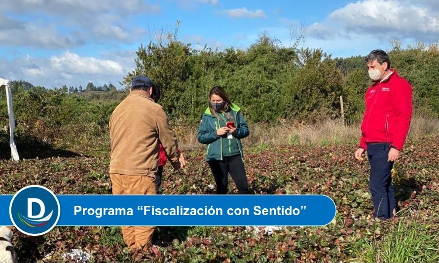 Programa del SAG beneficiará a 25 pequeños agricultores de Mariquina y Lago Ranco 
