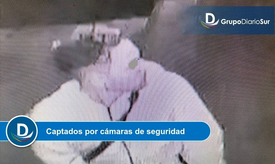 Mujer fue víctima de violento robo con intimidación en Futrono