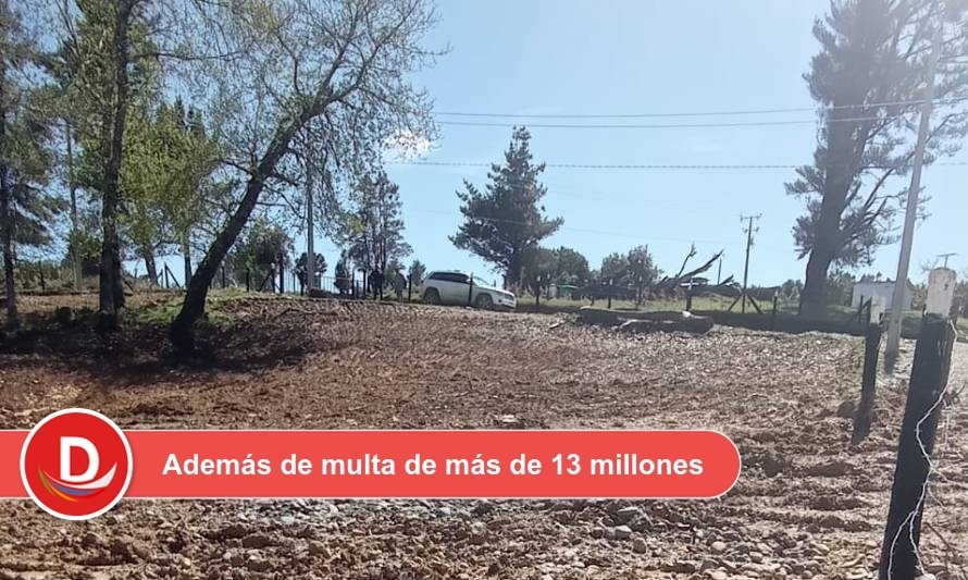 Confirman fallo que ordena a inmobiliaria a reforestar con árboles nativos