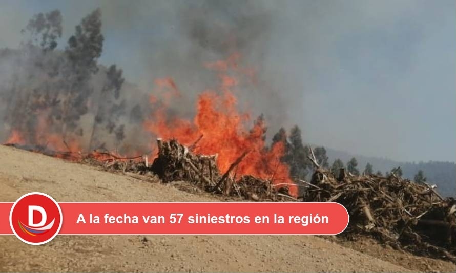 Incendios forestales: Conaf Los Ríos llama a aumentar conductas preventivas
