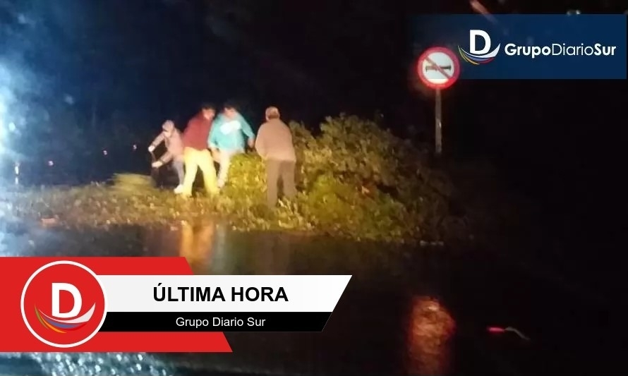 Ruta Futrono-Llifén cortada por caída de árboles