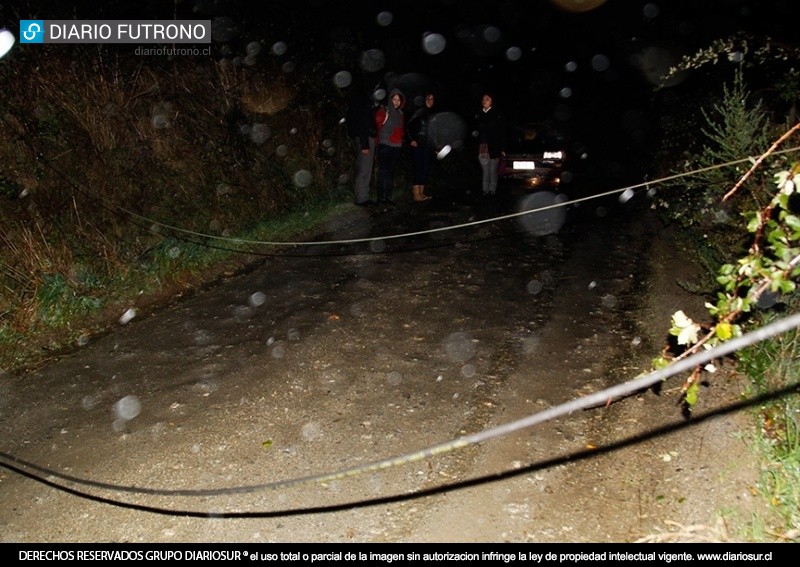 Corte de cable energizado en Pumol alertó a Bomberos de Futrono