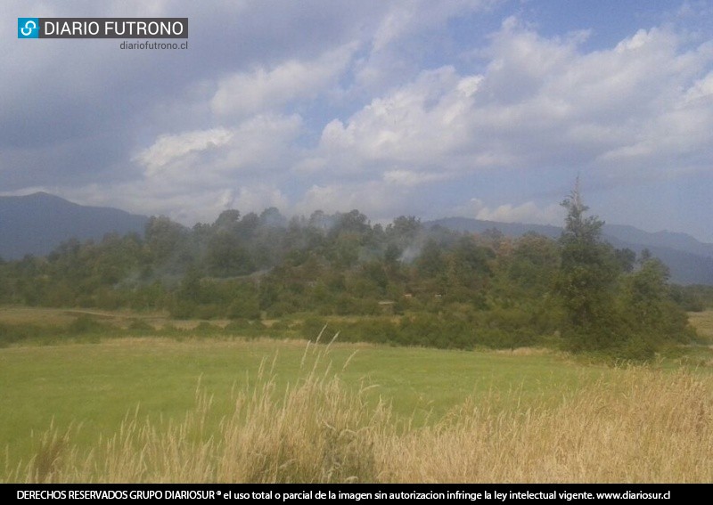 Bomberos combate incendio de bosque nativo en predio de la familia Aichele