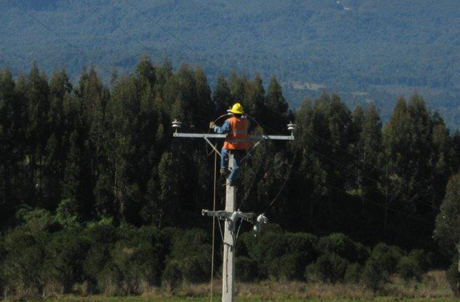 Caída de árbol provocó corte de servicio en áreas rurales de Paillaco, Futrono y Los Lagos