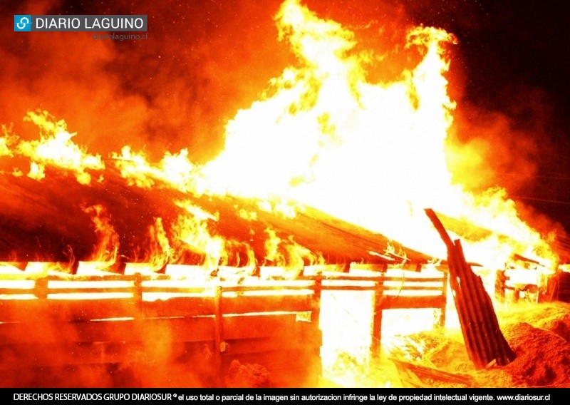 Incendio destruyó bodega de aserradero en Los Lagos