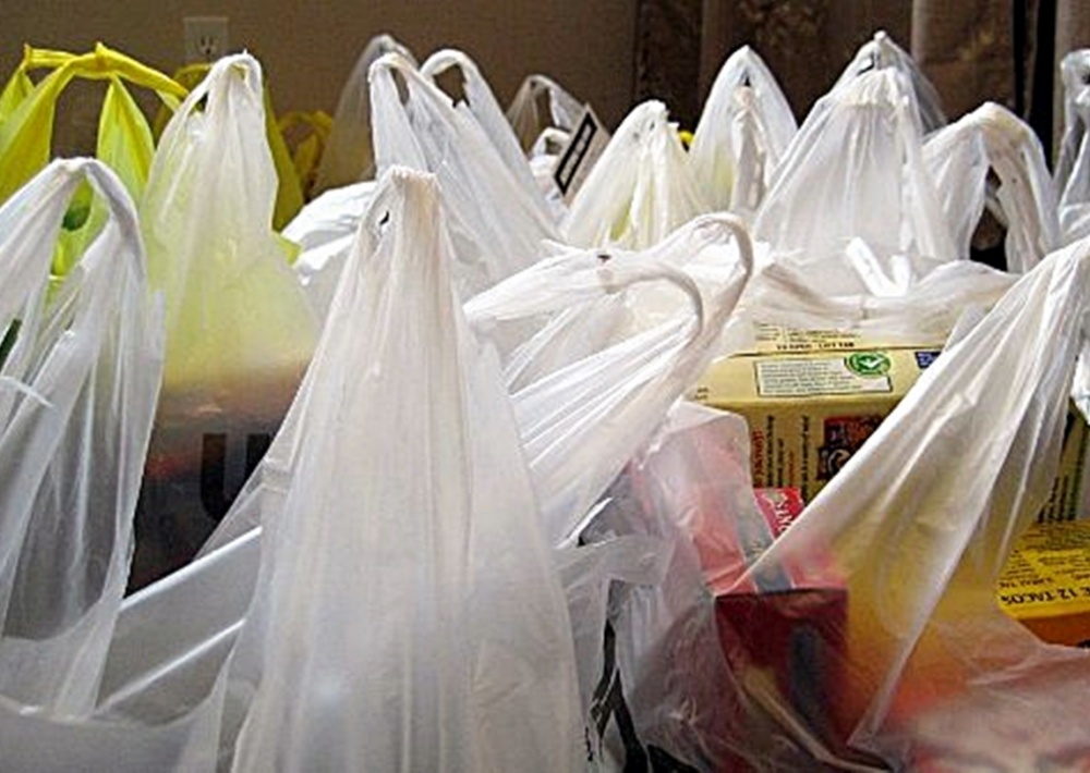 Los Lagos: Aprueban ordenanza que sustituye las bolsas plásticas