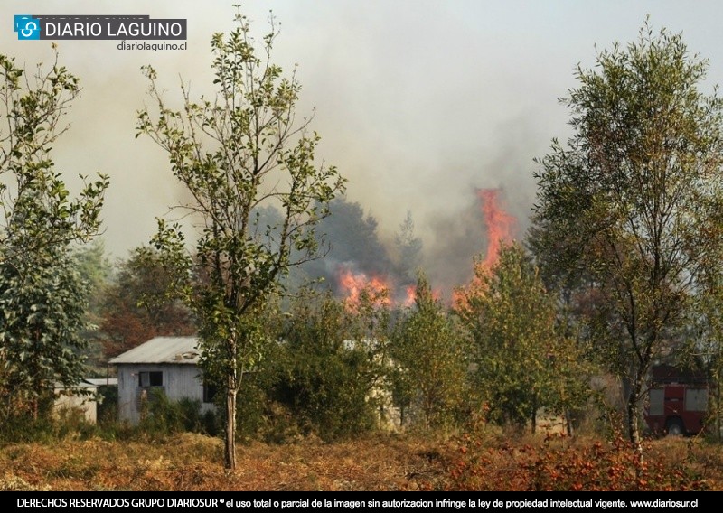 Declaran Alerta Roja en Los Lagos por incendio forestal con peligro a viviendas