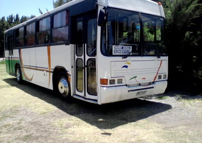 Nuevamente habrá recorrido de buses gratuitos el día de las elecciones