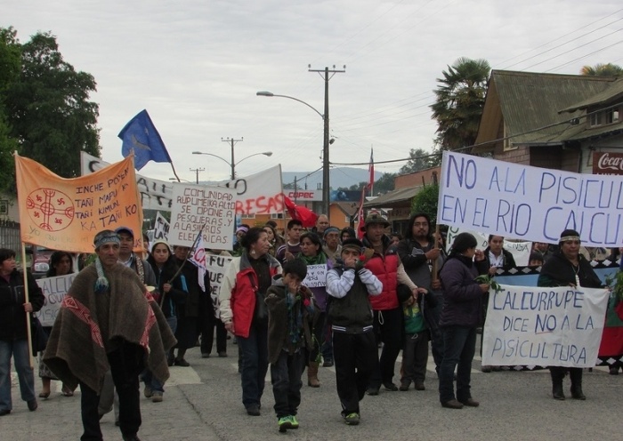 Anuncian masiva marcha contra la instalación de hidroeléctricas y pisciculturas en las comunas de Lago Ranco y Futrono