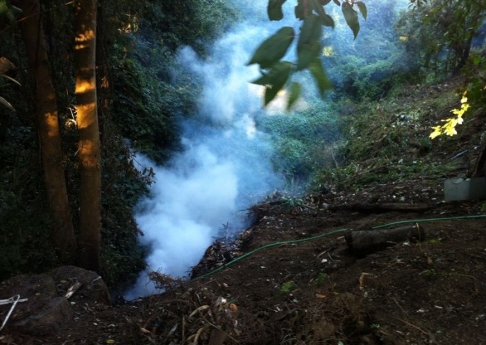 Quema de matorrales confundió a vecino que alertó incendio en Imahue