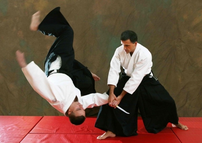 En Futrono se está realizando Seminario Internacional de Aikido
