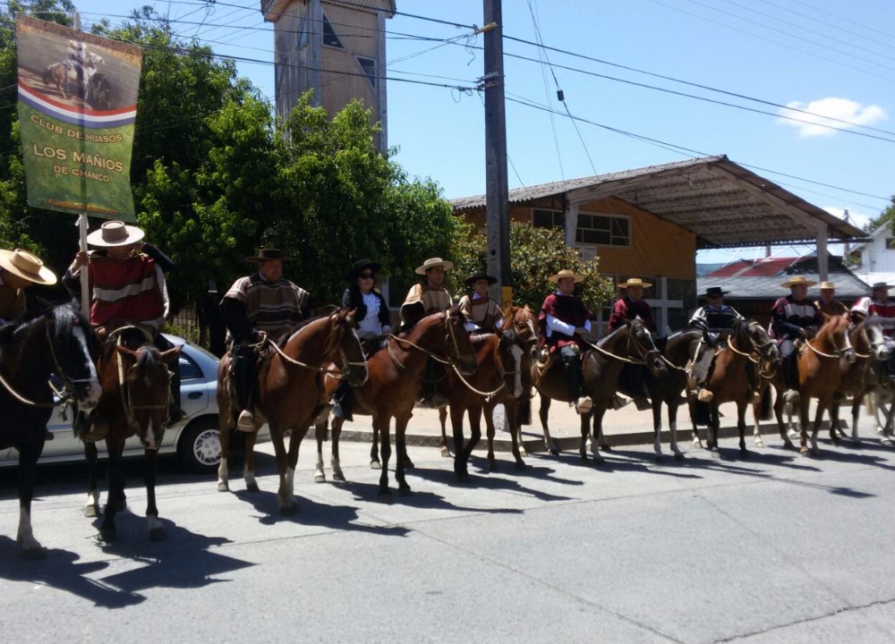 Exitosa Expo Rural dio inicio a las actividades de la Fiesta Verano Paillaco 2016