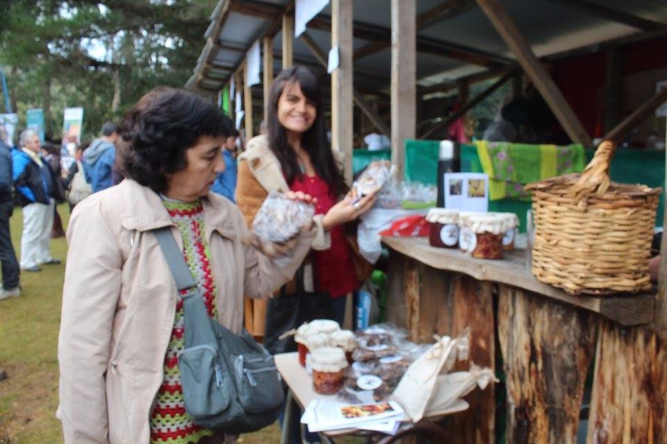 Fiesta del Hongo Silvestre del sector de La Plata – Los Ulmos pretende encantar a visitantes 