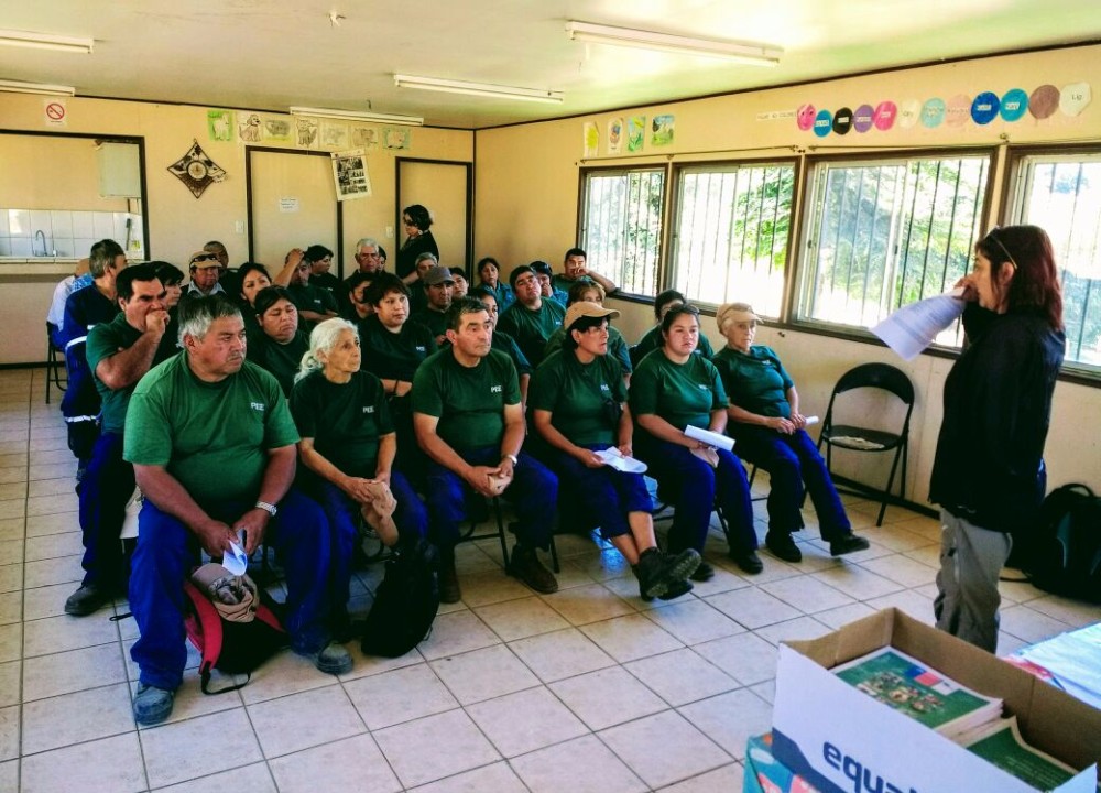 Comenzó programa de empleo de emergencia de CONAF en la región de Los Ríos