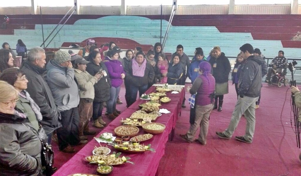 Primera Muestra Intercultural Mapuche en Los Lagos fue todo un éxito