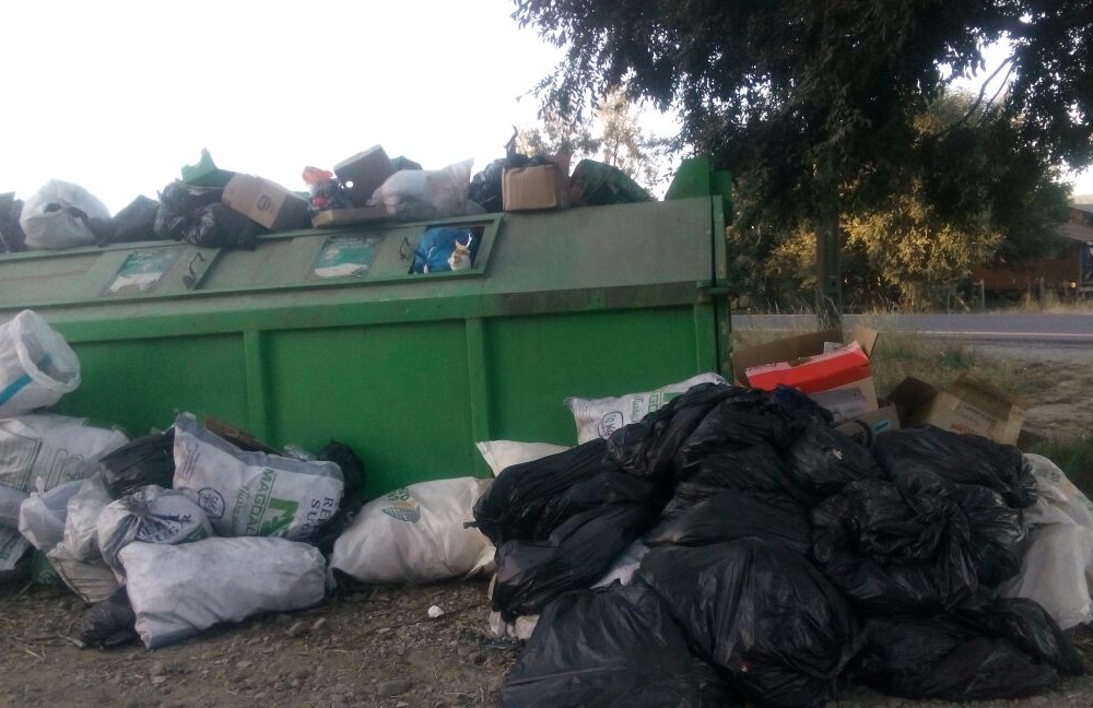 Llaman a tomar medidas para terminar con basurales en turística comuna de Futrono 