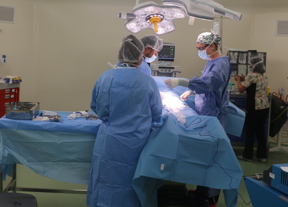 Disminuyen lista de espera de hernias en pabellón quirúrgico del Hospital de Lanco
