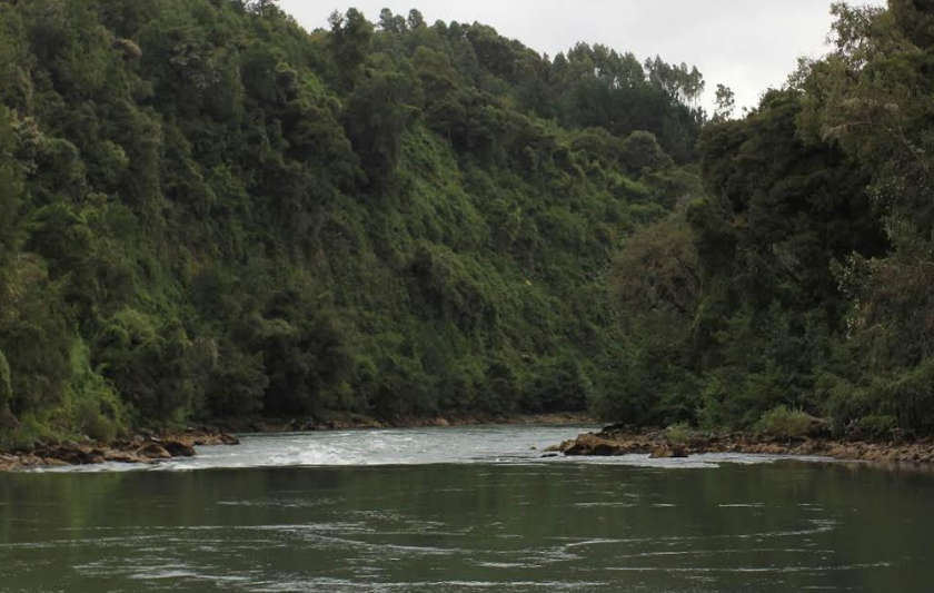 Aprueban recursos para estudios de Norma Secundaria de Calidad Ambiental del río Bueno