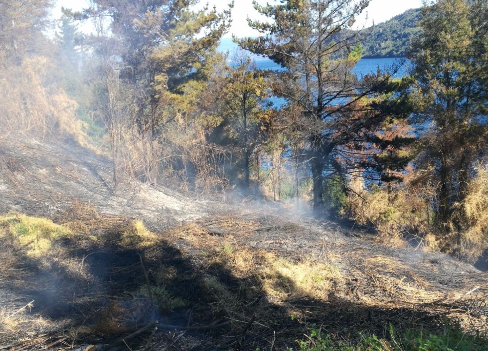 Bomberos de Llifén acude a controlar fuego de pastizales en sector Golfo Azul