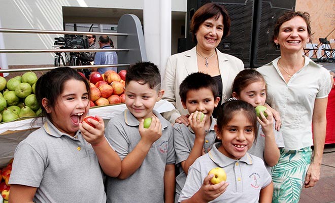 Minsal pondrá fin a la venta de comida chatarra en todos los colegios de Chile