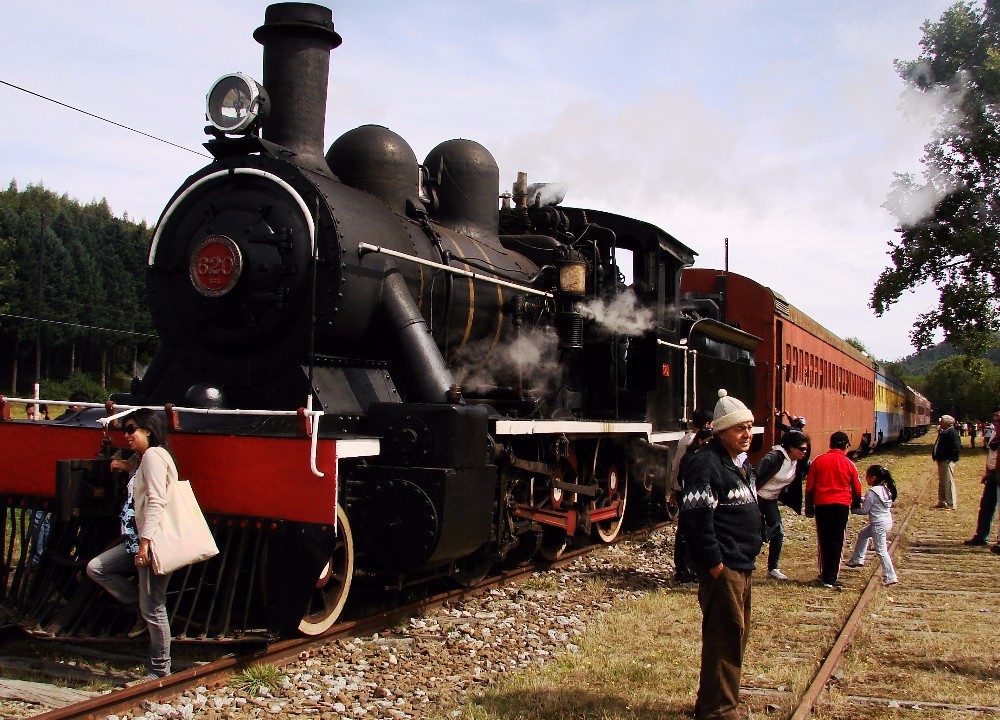 Anuncian calendario de viajes de tren El Valdiviano para la temporada 2017-2018