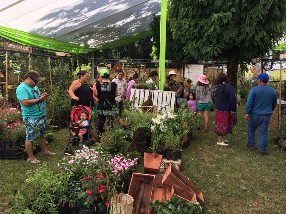 Fin de semana de ferias  y trilla en Futrono y Lago Ranco