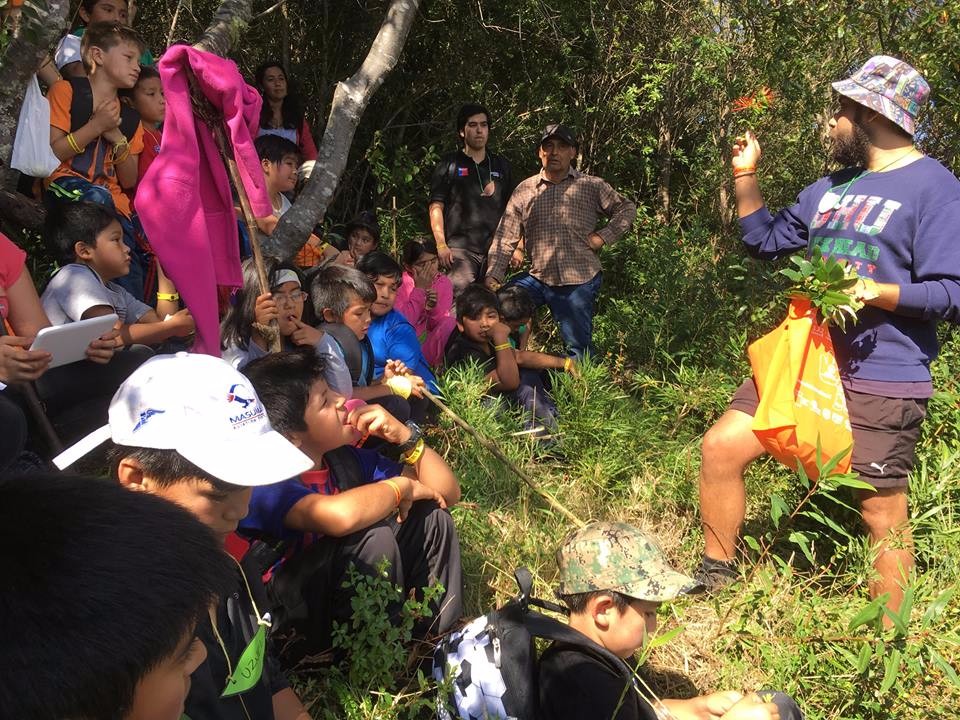 Niñas y niños ranquinos disfrutaron de Primer Encuentro Medioambiental en Calcurrupe