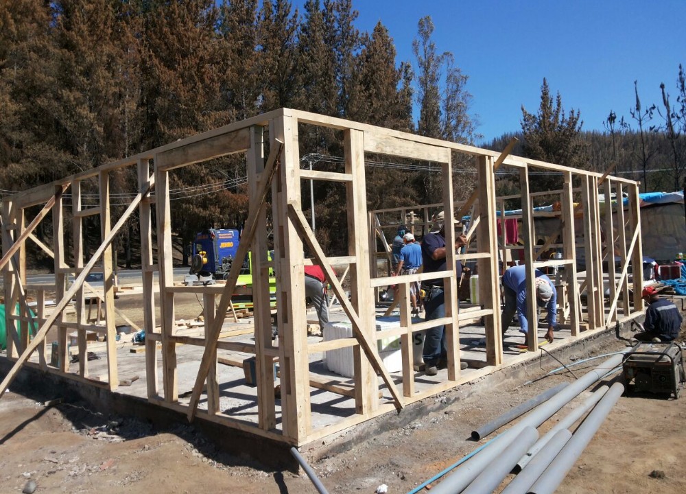 Futroninos ya comenzaron la construcción de una casa nueva en Santa Olga