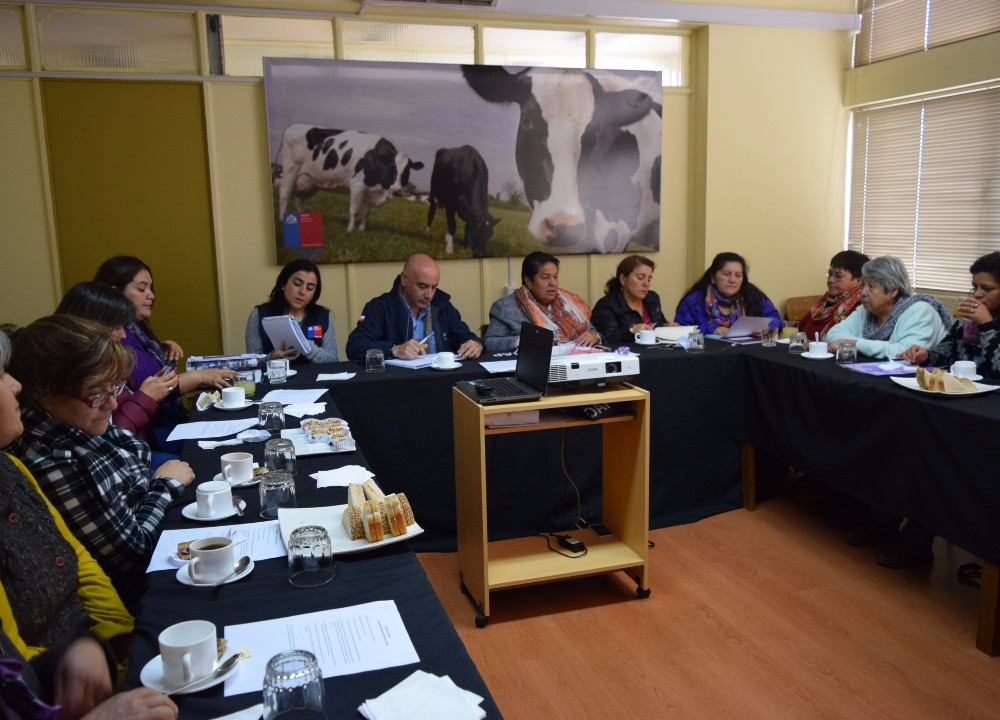 Sesionó la primera Mesa Regional Mujer Rural en Los Ríos